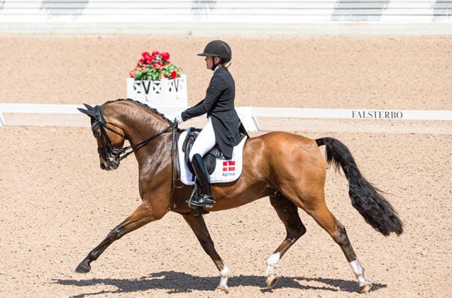 260712 Anna Zibrandtsen of Denmark with horse Quel Filou competes in FEI Grand Prix Kür during the Falsterbo Horse Show on July 12, 2026 in Falsterbo. Photo: Christian Örnberg BILDBYRAN COP 166 CO0712 ridsport equestrian falsterbo horse show ridsportlaget bbeng fei grand prix kürdanmark denmark *** July 12, 2026: Anna Zibrandtsen of Denmark, riding Quel Filou, competes in the FEI Grand Prix Kür during the Falsterbo Horse Show on July 12, 2026 in Falsterbo. Photo by Christian Örnberg, BILDBYRAN COP 166 CO0712 equestrian sports Falsterbo Horse Show Ridsportlaget BBENG FEI Grand Prix Kür Denmark  Copyright: CHRISTIANxÖRNBERG BB260712CO088