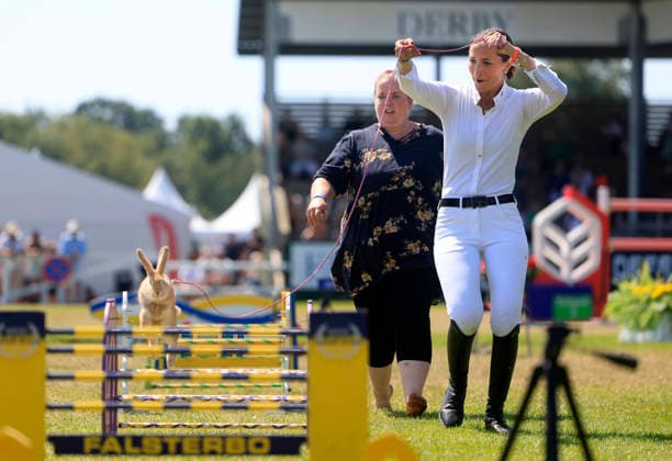 FALSTERBO, SVERIGE 20260712 Wilma Mcmahon under kaninhoppningen under Falsterbo horse show. FALSTERBO SVERIGE x10600x *** FALSTERBO, SWEDEN 20260712 Wilma McMahon during the rabbit jumping event at the Falsterbo Horse Show FALSTERBO SWEDEN x10600x  Copyright: xAndreasxHillergren TTx FALSTERBO HORSE SHOW 2026