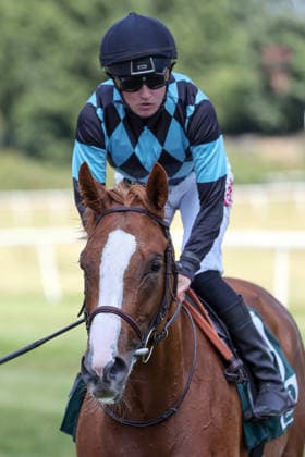 12.07.2026, Muelheim, Nordrhein-Westfalen, GER - Starlit Destiny mit Sibylle Vogt beim Aufgalopp. Galopprennbahn Muelheim-Raffelberg. (Pferd, Jockey, Starlit Destiny, Vogt, Aufgalopp) 260712SG924MUELHEIM.JPG *** July 12, 2026, Mülheim, North Rhine-Westphalia, GER Starlit Destiny with Sibylle Vogt during the warm-up at the Mülheim-Raffelberg Racetrack Horse, jockey, Starlit Destiny, Vogt, warm-up 260712SG924MUELHEIM JPG