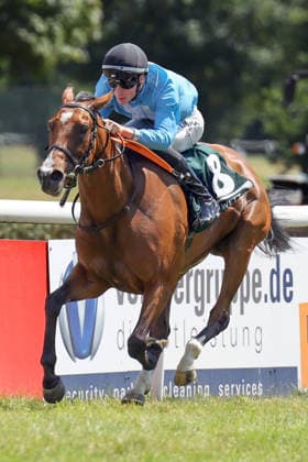 12.07.2026, Muelheim, Nordrhein-Westfalen, GER - Salonglaenzende mit David Liska gewinnt das BBAG Diana Trial. Galopprennbahn Muelheim-Raffelberg. (Pferd, Jockey, Salonglaenzende, Liska, Sieg, Ziel, Zielankunft) 260712SG928MUELHEIM.JPG *** July 12, 2026, Mülheim, North Rhine-Westphalia, GER: Salonglaenzende, ridden by David Liska, wins the BBAG Diana Trial at the Mülheim-Raffelberg Racetrack. Horse, jockey, Salonglaenzende, Liska, Victory, Finish, Finish Line 260712SG928MUELHEIM JPG