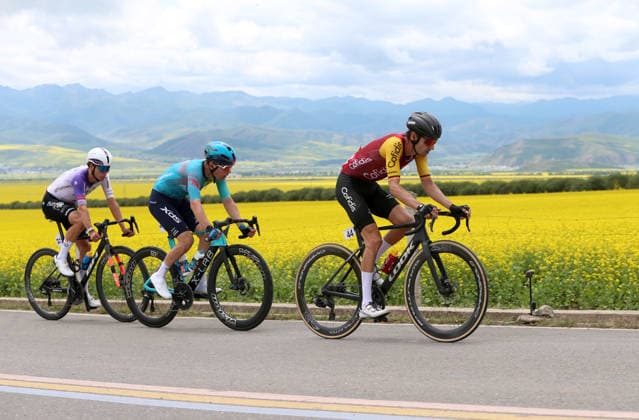 MENYUAN, CHINA - JULY 12: Cyclists ride through a vast field of blooming rapeseed flowers during the 25th Tour of Magnificent Qinghai International Road cycling, Rad, Radsport, Strasse Race on July 12, 2026 in Menyuan, Qinghai Province of China. The second stage of the 25th Tour of Magnificent Qinghai International Road Cycling Race ran from Huangyuan to Menyuan.  Copyright: xChinaxNewsxServicex 111653853633