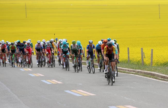 MENYUAN, CHINA - JULY 12: Cyclists ride through a vast field of blooming rapeseed flowers during the 25th Tour of Magnificent Qinghai International Road cycling, Rad, Radsport, Strasse Race on July 12, 2026 in Menyuan, Qinghai Province of China. The second stage of the 25th Tour of Magnificent Qinghai International Road Cycling Race ran from Huangyuan to Menyuan.  Copyright: xChinaxNewsxServicex 111653853640