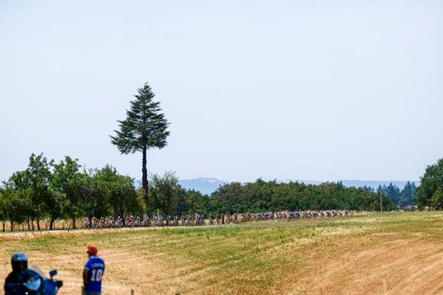 Tour de France 2026 Stage 10 LE LIORAN, FRANCE - JULY 14 : Illustration picture of the peloton during stage 10 of the 113rd edition of Tour de France an UCI World Tour 2.UWT cycling road race stage for Men Elite of 167 km with start in Aurillac and finish in Le Lioran on July 14, 2026 in Le Lioran, France, 14 07 2026 Le Lioran France  Copyright: xLucaxBettinix