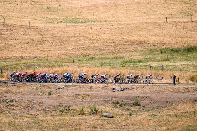 Tour de France 2026 Stage 10 LE LIORAN, FRANCE - JULY 14 : Illustration picture of the peloton during stage 10 of the 113rd edition of Tour de France an UCI World Tour 2.UWT cycling road race stage for Men Elite of 167 km with start in Aurillac and finish in Le Lioran on July 14, 2026 in Le Lioran, France, 14 07 2026 Le Lioran France  Copyright: xTomasxSiskx
