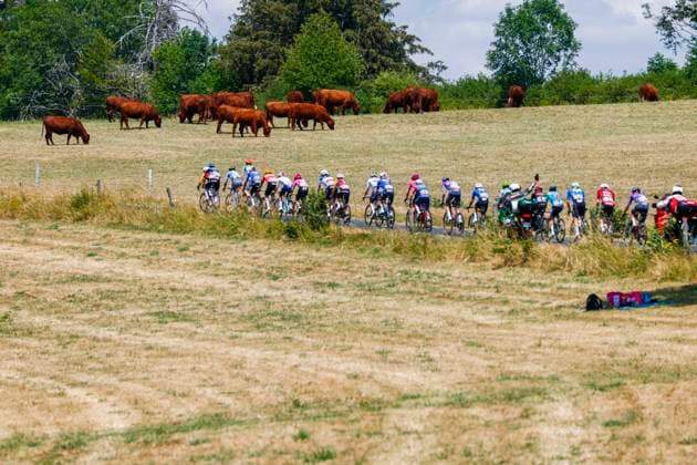 Tour de France 2026 Stage 10 LE LIORAN, FRANCE - JULY 14 : Illustration picture of the peloton during stage 10 of the 113rd edition of Tour de France an UCI World Tour 2.UWT cycling road race stage for Men Elite of 167 km with start in Aurillac and finish in Le Lioran on July 14, 2026 in Le Lioran, France, 14 07 2026 Le Lioran France  Copyright: xLucaxBettinix