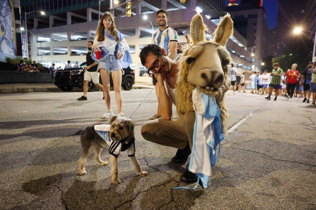 World Cup Fans 14 July 2026, Atlanta - FIFA World Cup, WM, Weltmeisterschaft, Fussball Football - Argentina and England Fans in Atlanta - Pepito the dog in an Argentina jersey bravely inspects a giant GOAT head - Photo: Charlotte Wilson Offside. Atlanta USA *** WM-Fans 14. Juli 2026, Atlanta FIFA-Fußball-Weltmeisterschaft Fans aus Argentinien und England in Atlanta Der Hund Pepito im argentinischen Trikot begutachtet mutig einen riesigen Ziegenkopf Foto: Charlotte Wilson Offside Atlanta, USA  Copyright: xCharlottexWilsonx xOffsidexOffside