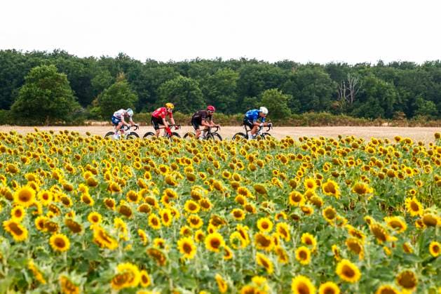 Tour de France 2026 Stage 11 NEVERS, FRANCE - JULY 15 : Charmig Anthon (DEN) of Uno-X Mobility, Oliveira Nelson (POR) of Movistar Team, Alaphilippe Julian (FRA) of Tudor Pro Cycling Team, Le Berre Mathis (FRA) of TotalEnergies in the escape pack during stage 11 of the 113rd edition of Tour de France an UCI World Tour 2.UWT cycling road race stage for Men Elite of 161 km with start in Vichy and finish in Nevers on July 15, 2026 in Nevers, France, 15 07 2026 Nevers France  Copyright: xLucaxBettinix