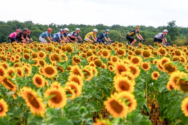 Tour de France 2026 Stage 11 NEVERS, FRANCE - JULY 15 : Pogacar Tadej (SLO) of UAE Team Emirates XRG, Illustration picture of the peloton during stage 11 of the 113rd edition of Tour de France an UCI World Tour 2.UWT cycling road race stage for Men Elite of 161 km with start in Vichy and finish in Nevers on July 15, 2026 in Nevers, France, 15 07 2026 Nevers France  Copyright: xLucaxBettinix