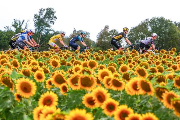 Tour de France 2026 Stage 11 NEVERS, FRANCE - JULY 15 : Pogacar Tadej (SLO) of UAE Team Emirates XRG, Illustration picture of the peloton during stage 11 of the 113rd edition of Tour de France an UCI World Tour 2.UWT cycling road race stage for Men Elite of 161 km with start in Vichy and finish in Nevers on July 15, 2026 in Nevers, France, 15 07 2026 Nevers France  Copyright: xLucaxBettinix