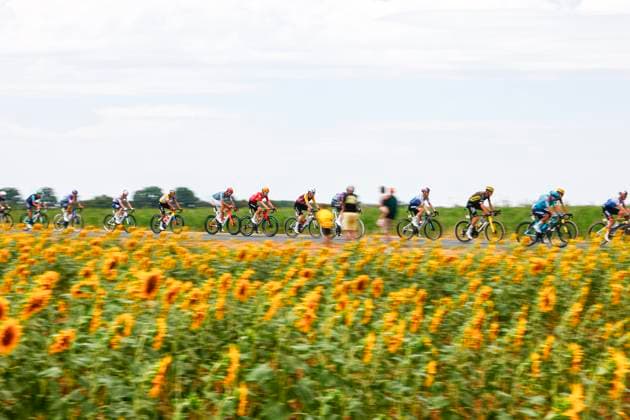Tour de France 2026 Stage 12 CHALON-SUR-SAONE, FRANCE - JULY 16 : Illustration picture of the peloton during stage 12 of the 113rd edition of Tour de France an UCI World Tour 2.UWT cycling road race stage for Men Elite of 181 km with start in Circuit Nevers Magny-Cours and finish in Chalon-sur-Saone on July 16, 2026 in Chalon-sur-Saone, France, 16 07 2026 Chalon-sur-Saone France  Copyright: xLucaxBettinix