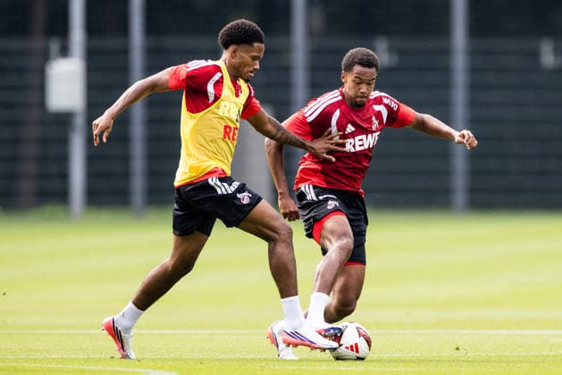 COLOGNE, GERMANY - JULY 17: David Fuerst (1. FC Koeln) and Youssoupha Niang (1. FC Koeln, 38) battle for the ball during a training session of season 2026 27 at Geissbockheim on July 17, 2026 in Cologne, Germany. North Rhine Westphalia Germany Copyright: xSteffiexWunderlx