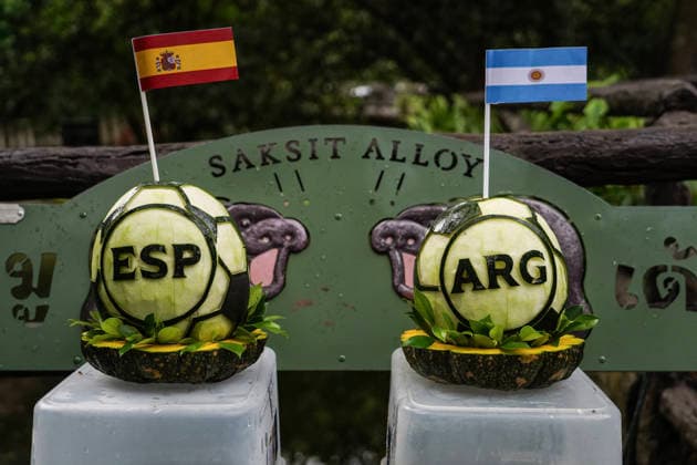 Moo Deng Predicts Winner Of FIFA World Cup, WM, Weltmeisterschaft, Fussball 2026. Soccer ball-shaped carved watermelons with Spain s and Argentina s national flags are prepared for pygmy hippopotamus Moo Deng to predict the winner of the FIFA World Cup 2026 choosing the Argentina side over Spain during a prediction event at Khao Kheow Open Zoo in Chonburi Province, Thailand. Chonburi Province Chonburi Province Thailand  Copyright: xAnusakxLaowilasx originalFilename:laowilas-notitle260718_np5Ek.jpg