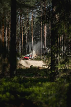 AUTO - WRC, Motorsport Rallye, WM - RALLY ESTONIA 2026 33 Elfyn EVANS, Scott MARTIN, TOYOTA GR Yaris Rally1, action during the 2026 Rally Estonia, 8th round of the 2026 WRC WORLD RALLY CAR CHAMPIONSHIP, from July 16 to 29, 2026 at Tartu, Estonia - TartuEstonia  Copyright: xNikosxKatikisx