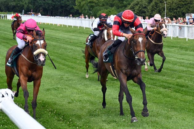 18.07.2026, Bad Harzburg, Niedersachsen, GER - Almanda mit Bauyrzhan Murzabayev (rote Kappe) gewinnt. Galopprennbahn Bad Harzburg, Weisser Stein. (Pferd, Jockey, Almanda, Murzabayev, Sieg, Ziel, Zielankunft) 260718FS957BAD_HARZBURG.JPG *** July 18, 2026, Bad Harzburg, Lower Saxony, GER: Almanda, ridden by Bauyrzhan Murzabayev (wearing a red cap), wins at the Bad Harzburg Racetrack; Weisser Stein; horse; jockey; Almanda; Murzabayev; Victory, Finish, Finish Line 260718FS957BAD HARZBURG JPG