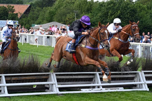 18.07.2026, Bad Harzburg, Niedersachsen, GER - Cabot Cliffs mit Hakim Tabet gewinnt. Galopprennbahn Bad Harzburg, Weisser Stein. (Pferd, Jockey, Cabot Cliffs, Tabet, Spring, springen, Huerde, Huerdenrennen, Hindernisrennen) 260718FS985BAD_HARZBURG.JPG *** July 18, 2026, Bad Harzburg, Lower Saxony, GER Cabot Cliffs, ridden by Hakim Tabet, wins at the Bad Harzburg Racetrack, Weisser Stein Horse, Jockey, Cabot Cliffs, Tabet, jump, jumping, hurdle, hurdle race, steeplechase 260718FS985BAD HARZBURG JPG