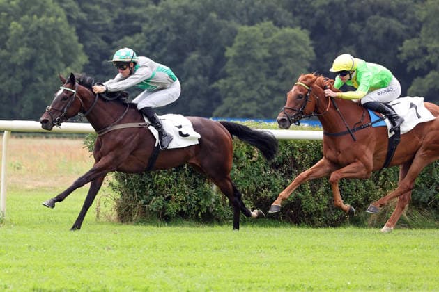 19.07.2026, Hoppegarten, Brandenburg, GER - Dancing Lips mit Rene Piechulek gewinnt. Galopprennbahn Hoppegarten. () 260719D700HOPPEGARTEN.JPG *** July 19, 2026, Hoppegarten, Brandenburg, GER Dancing Lips, ridden by Rene Piechulek, wins at the Hoppegarten Racetrack 260719D700HOPPEGARTEN JPG