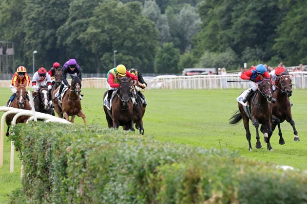 19.07.2026, Hoppegarten, Brandenburg, GER - Nastaria mit Jozef Bojko (gelbe Kappe) gewinnt das Fuerstenberg-Rennen. Galopprennbahn Hoppegarten. () 260719D704HOPPEGARTEN.JPG *** July 19, 2026, Hoppegarten, Brandenburg, GER: Nastaria, ridden by Jozef Bojko (wearing a yellow cap), wins the Fuerstenberg Race at the Hoppegarten Racetrack 260719D704HOPPEGARTEN JPG