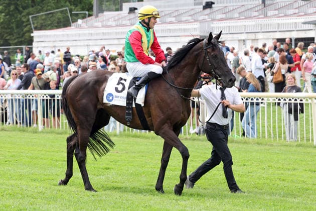 19.07.2026, Hoppegarten, Brandenburg, GER - Nastaria mit Jozef Bojko nach dem Sieg im Fuerstenberg-Rennen. Galopprennbahn Hoppegarten. () 260719D717HOPPEGARTEN.JPG *** July 19, 2026, Hoppegarten, Brandenburg, GER Nastaria with Jozef Bojko after winning the Fuerstenberg Race at Hoppegarten Racetrack 260719D717HOPPEGARTEN JPG