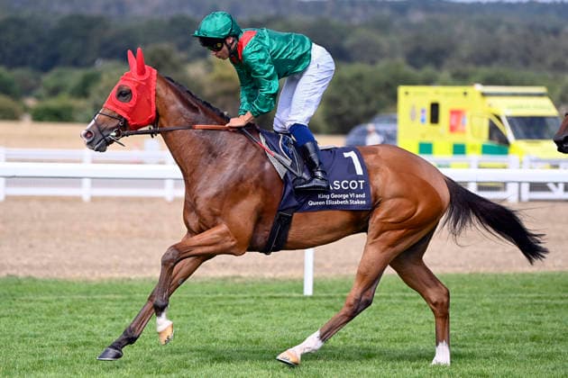 25.07.2026, Ascot, Windsor, GBR - Calandagan with Mickael Barzalona. Ascot racecourse. (Pferd, Jockey, Calandagan, Barzalona, Aufgalopp) 260725C951ASCOT.JPG *** July 25, 2026, Ascot, Windsor, GBR Calandagan with Mickael Barzalona at Ascot Racecourse Horse, Jockey, Calandagan, Barzalona, Warm-up 260725C951ASCOT JPG