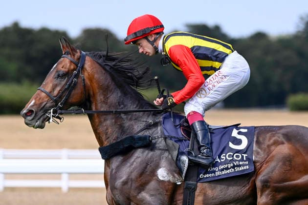 25.07.2026, Ascot, Windsor, GBR - Wurttemberg with Oisin Murphy. Ascot racecourse. (Pferd, Jockey, Wurttemberg, Murphy, Aufgalopp) 260725C954ASCOT.JPG *** July 25, 2026, Ascot, Windsor, GBR: Württemberg with Oisin Murphy at Ascot Racecourse—Horse, Jockey, Württemberg, Murphy, Warm-up 260725C954ASCOT JPG