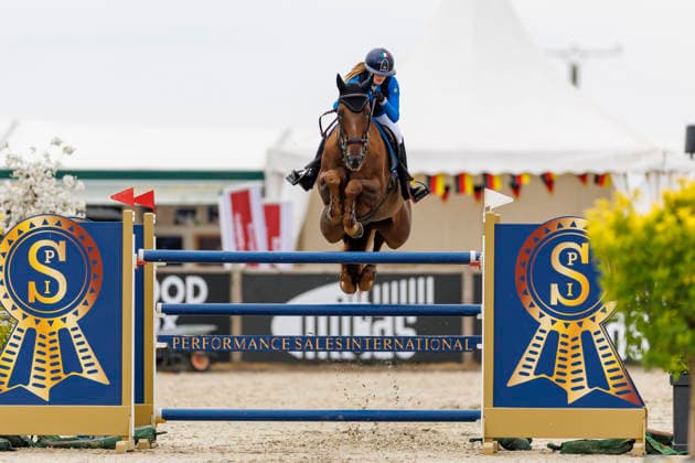 HAGEN a.T.W. - FEI Jumping European Championship, EM, Europameisterschaft Children, Juniors and Young Rider 2026, HAGEN a.T.W. - FEI Jumping European Championship Children, Juniors and Young Rider 2026 PELLICARI Angelica Francesca (ITA), Drievandekamp D Pages YR-I - CH-EU-Y-S - YOUNG RIDERS - Individuals Final Individuals over two rounds - FIRST ROUND Hagen a.T.W., Reitanlage Haunhorst 26. July 2026 - *** HAGEN a T W FEI Jumping European Championship for Children, Juniors, and Young Riders 2026, HAGEN a T W FEI Jumping European Championship for Children, Juniors, and Young Riders 2026 PELLICARI Angelica Francesca ITA, Drievandekamp D Pages YR I CH EU Y S YOUNG RIDERS Individuals Final Individuals over two rounds FIRST ROUND Hagen a T W, Haunhorst Equestrian Center, July 26, 2026