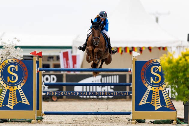 HAGEN a.T.W. - FEI Jumping European Championship, EM, Europameisterschaft Children, Juniors and Young Rider 2026, HAGEN a.T.W. - FEI Jumping European Championship Children, Juniors and Young Rider 2026 PELLICARI Angelica Francesca (ITA), Drievandekamp D Pages YR-I - CH-EU-Y-S - YOUNG RIDERS - Individuals Final Individuals over two rounds - FIRST ROUND Hagen a.T.W., Reitanlage Haunhorst 26. July 2026 - *** HAGEN a T W FEI Jumping European Championship for Children, Juniors, and Young Riders 2026, HAGEN a T W FEI Jumping European Championship for Children, Juniors, and Young Riders 2026 PELLICARI Angelica Francesca ITA, Drievandekamp D Pages YR I CH EU Y S YOUNG RIDERS Individuals Final Individuals over two rounds FIRST ROUND Hagen a T W, Haunhorst Equestrian Center, July 26, 2026