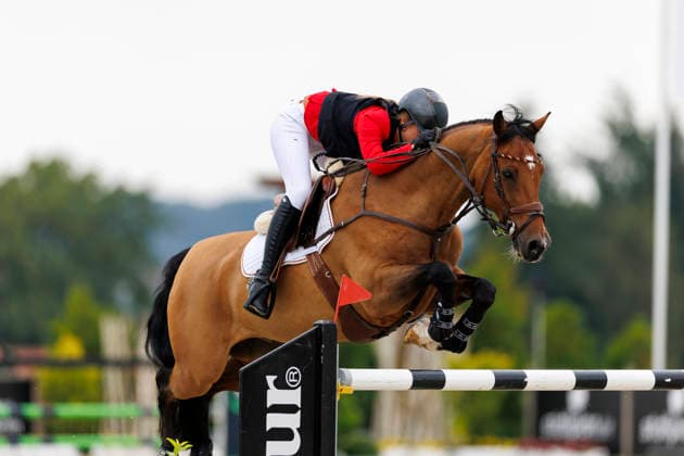 HAGEN a.T.W. - FEI Jumping European Championship, EM, Europameisterschaft Children, Juniors and Young Rider 2026, HAGEN a.T.W. - FEI Jumping European Championship Children, Juniors and Young Rider 2026 TIETJE Romy Rosalie (GER), Cascadino YR-I - CH-EU-Y-S - YOUNG RIDERS - Individuals Final Individuals over two rounds - FIRST ROUND Hagen a.T.W., Reitanlage Haunhorst 26. July 2026 - *** HAGEN a T W FEI Jumping European Championship for Children, Juniors, and Young Riders 2026, HAGEN a T W FEI Jumping European Championship for Children, Juniors, and Young Riders 2026 TIETJE Romy Rosalie GER, Cascadino YR I CH EU Y S YOUNG RIDERS Individuals Final (two rounds) FIRST ROUND Hagen a T W, Haunhorst Equestrian Center, July 26, 2026