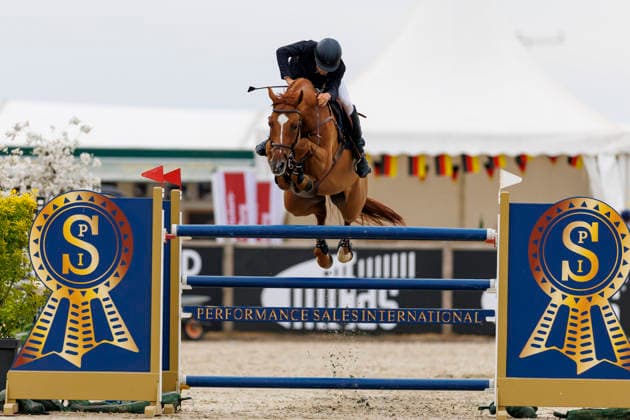 HAGEN a.T.W. - FEI Jumping European Championship, EM, Europameisterschaft Children, Juniors and Young Rider 2026, HAGEN a.T.W. - FEI Jumping European Championship Children, Juniors and Young Rider 2026 ILLI Jone (FIN), Celtas Quillian YR-I - CH-EU-Y-S - YOUNG RIDERS - Individuals Final Individuals over two rounds - FIRST ROUND Hagen a.T.W., Reitanlage Haunhorst 26. July 2026 - *** HAGEN a T W FEI Jumping European Championship for Children, Juniors, and Young Riders 2026, HAGEN a T W FEI Jumping European Championship for Children, Juniors, and Young Riders 2026 ILLI Jone FIN, Celtas Quillian YR I CH EU Y S YOUNG RIDERS Individuals Final Individuals over two rounds FIRST ROUND Hagen a T W, Haunhorst Equestrian Center, July 26, 2026