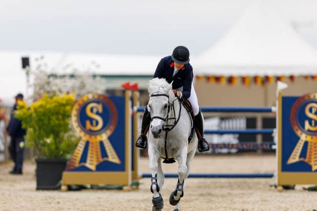 HAGEN a.T.W. - FEI Jumping European Championship, EM, Europameisterschaft Children, Juniors and Young Rider 2026, HAGEN a.T.W. - FEI Jumping European Championship Children, Juniors and Young Rider 2026 VON BUELOW Noora (GBR), Primavera YR-I - CH-EU-Y-S - YOUNG RIDERS - Individuals Final Individuals over two rounds - FIRST ROUND Hagen a.T.W., Reitanlage Haunhorst 26. July 2026 - *** HAGEN a T W FEI Jumping European Championship for Children, Juniors, and Young Riders 2026, HAGEN a T W FEI Jumping European Championship for Children, Juniors and Young Riders 2026 VON BUELOW Noora GBR, Primavera YR I CH EU Y S YOUNG RIDERS Individuals Final Individuals over two rounds FIRST ROUND Hagen a T W, Haunhorst Equestrian Center, July 26, 2026