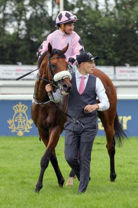 26.07.2026, Muenchen, Bayern, GER - Hotazhell mit Shane Foley nach dem Sieg im 50. Grossen Dallmayr-Preis. Galopprennbahn Muenchen-Riem. (Pferd, Jockey, Hotazhell, Foley, Sieg) 260726WB992MUENCHEN.JPG *** July 26, 2026, Munich, Bavaria, GER Hotazhell with Shane Foley after winning the 50th Dallmayr Grand Prix at the Munich-Riem Racetrack Horse, jockey, Hotazhell, Foley, victory 260726WB992MUENCHEN JPG