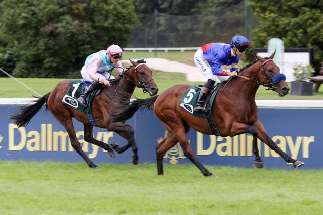 26.07.2026, Muenchen, Bayern, GER - Western mit Thore Hammer-Hansen gewinnt. Galopprennbahn Muenchen-Riem. (Pferd, Jockey, Western, Hammer-Hansen, Sieg, Ziel, Zielankunft) 260726WB972MUENCHEN.JPG *** July 26, 2026, Munich, Bavaria, GER: Thore Hammer Hansen Wins Western Riding Event at Munich-Riem Racetrack Horse, Jockey, Western, Hammer Hansen, Victory, Finish Line, Finish 260726WB972MUENCHEN JPG
