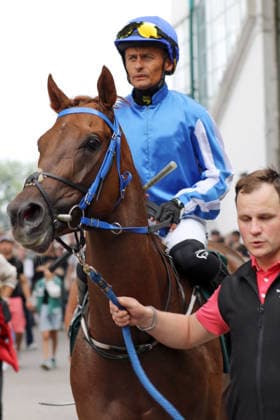 26.07.2026, Muenchen, Bayern, GER - Bint New Bay mit Per-Anders Graberg nach den Sieg. Galopprennbahn Muenchen-Riem. (Pferd, Jockey, Bint New Bay, Graberg, Sieg) 260726WB982MUENCHEN.JPG *** July 26, 2026, Munich, Bavaria, GER: Bint New Bay with Per Anders Graberg after winning at the Munich-Riem Racetrack; Horse, Jockey, Bint New Bay, Graberg, Victory 260726WB982MUENCHEN JPG