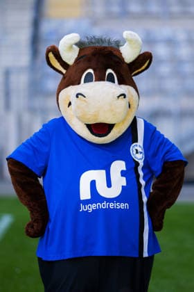Maskottchen Lohmann; DSC Arminia Bielefeld; 2. BL, Porträttermin 2026 2027. Bielefeld Nordrhein-Westfalen Deutschland Schüco Arena *** Lohmann, the mascot of DSC Arminia Bielefeld (2. Bundesliga), photo shoot 2026–2027, Bielefeld, North Rhine-Westphalia, Germany, Schüco Arena