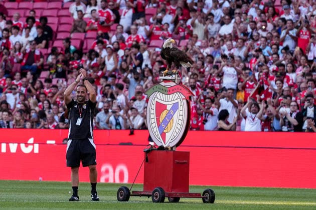 Fussball, UEFA Europa League Qualifikation: SL Benfica vs. FC St. Gallen 1879, Donnerstag, 30.07.2026 (Estadio da Luz, Lissabon, Portugal); Adler Showflug bei SL Benfica *** Soccer, UEFA Europa League Qualifying: SL Benfica vs. FC St. Gallen 1879, Thursday, July 30, 2026, Estadio da Luz, Lisbon, Portugal – The Eagles Put on a Spectacular Display at SL Benfica Copyright: xValentinxDomgjonix