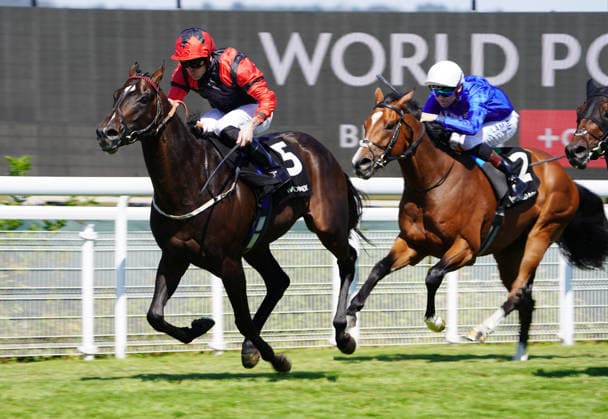 Horse Racing - 2026 Flat Season - Qatar Goodwood Festival ˜Glorious Goodwood™ - Day Four ˜King George Day - Goodwood Racecourse - Friday 31st July 2026 Race Two, 14:25 The HKJC World Pool Thoroughbred Stakes (group 3) Winner, Clifford Lee on Shayem COLORSPORT ANDREW COWIE 