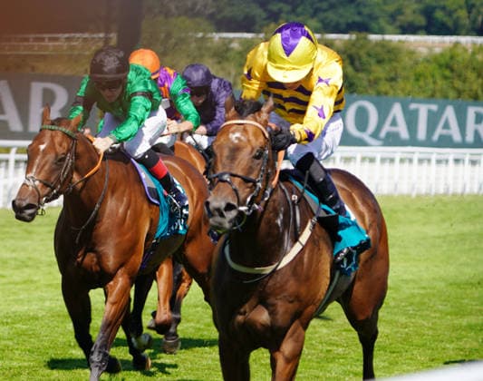 Horse Racing - 2026 Flat Season - Qatar Goodwood Festival ˜Glorious Goodwood™ - Day Four ˜King George Day - Goodwood Racecourse - Friday 31st July 2026 Race four, 15:35 The Kings George Qatar Stakes Winner Paul Mulrennan on American Affair COLORSPORT ANDREW COWIE COLORSPORT ANDREW COWIE 