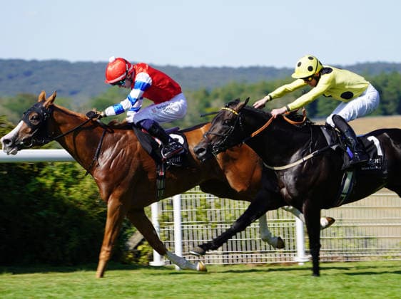 Horse Racing - 2026 Flat Season - Qatar Goodwood Festival ˜Glorious Goodwood™ - Day Four ˜King George Day - Goodwood Racecourse - Friday 31st July 2026 Race Five 16:10 The Regent seven seas Cruises Bentinck conditions Stakes Winner, Dylan Browne McMonagle on Galen COLORSPORT ANDREW COWIE 