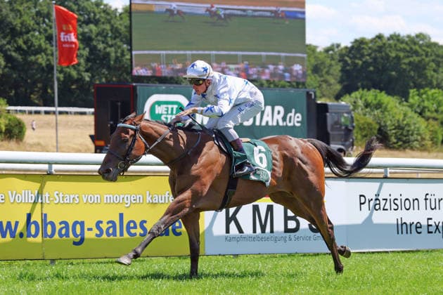 01.08.2026, Koeln, Nordrhein-Westfalen, GER - Nyela mit Martin Seidl gewinnt. Galopprennbahn Koeln-Weidenpesch. (Pferd, Jockey, Nyela, Seidl, Sieg, Ziel, Zielankunft) 260801S987KOELN.JPG *** August 1, 2026, Cologne, North Rhine-Westphalia, GER Nyela with Martin Seidl wins at the Cologne Weidenpesch Racetrack Horse, jockey, Nyela, Seidl, victory, finish line, finish 260801S987KOELN JPG