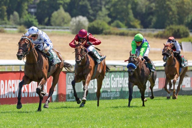 01.08.2026, Koeln, Nordrhein-Westfalen, GER - Nyela mit Martin Seidl gewinnt. Galopprennbahn Koeln-Weidenpesch. (Pferd, Jockey, Nyela, Seidl, Sieg, Ziel, Zielankunft) 260801S985KOELN.JPG *** August 1, 2026, Cologne, North Rhine-Westphalia, GER Nyela with Martin Seidl wins at the Cologne Weidenpesch Racetrack Horse, jockey, Nyela, Seidl, victory, finish line, finish 260801S985KOELN JPG