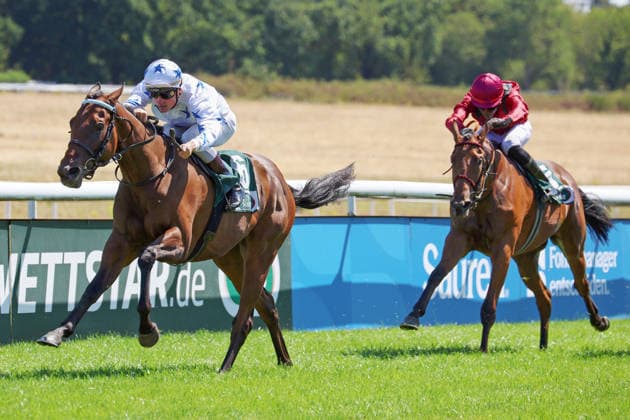01.08.2026, Koeln, Nordrhein-Westfalen, GER - Nyela mit Martin Seidl gewinnt. Galopprennbahn Koeln-Weidenpesch. (Pferd, Jockey, Nyela, Seidl, Sieg, Ziel, Zielankunft) 260801S986KOELN.JPG *** August 1, 2026, Cologne, North Rhine-Westphalia, GER Nyela with Martin Seidl wins at the Cologne Weidenpesch Racetrack Horse, jockey, Nyela, Seidl, victory, finish line, finish 260801S986KOELN JPG