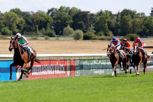 01.08.2026, Koeln, Nordrhein-Westfalen, GER - Nariman mit Alexander Pietsch gewinnt. Galopprennbahn Koeln-Weidenpesch. (Pferd, Jockey, Nariman, Pietsch, Sieg, Ziel, Zielankunft) 260801S989KOELN.JPG *** August 1, 2026, Cologne, North Rhine-Westphalia, GER Nariman with Alexander Pietsch wins at the Cologne Weidenpesch Racetrack Horse, jockey, Nariman, Pietsch, victory, finish line, finish 260801S989KOELN JPG