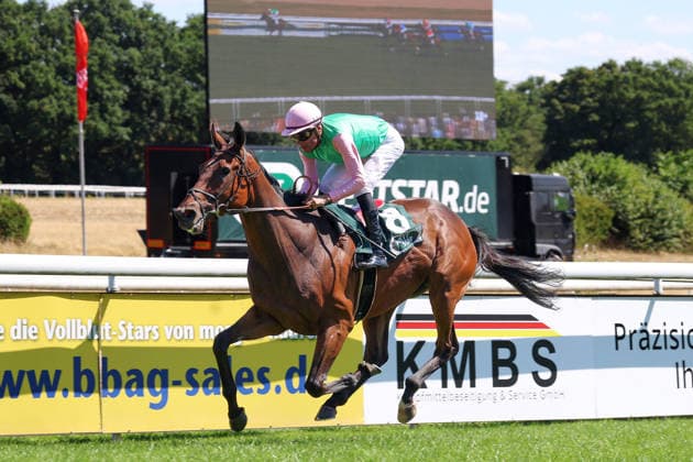 01.08.2026, Koeln, Nordrhein-Westfalen, GER - Nariman mit Alexander Pietsch gewinnt. Galopprennbahn Koeln-Weidenpesch. (Pferd, Jockey, Nariman, Pietsch, Sieg, Ziel, Zielankunft) 260801S990KOELN.JPG *** August 1, 2026, Cologne, North Rhine-Westphalia, GER Nariman with Alexander Pietsch wins at the Cologne Weidenpesch Racetrack Horse, jockey, Nariman, Pietsch, victory, finish line, finish 260801S990KOELN JPG