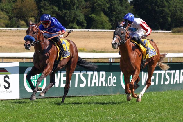 01.08.2026, Koeln, Nordrhein-Westfalen, GER - Dimitri mit Thore Hammer-Hansen gewinnt das BBAG-Auktionsrennen. Galopprennbahn Koeln-Weidenpesch. (Pferd, Jockey, Dimitri, Hammer-Hansen, Sieg, Ziel, Zielankunft) 260801S994KOELN.JPG *** August 1, 2026, Cologne, North Rhine-Westphalia, GER Dimitri with Thore Hammer Hansen wins the BBAG Auction Race at the Cologne Weidenpesch Racetrack Horse, jockey, Dimitri, Hammer Hansen, victory, finish line, finish 260801S994KOELN JPG