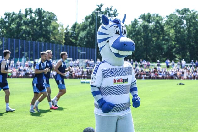 Fussball, 3.Liga Saison 2026 2027 schauinsland reisen Familientag beimMSV Duisburg 02.08.2026, Trainingsgelände MSV Duisburg Maskottchen Ennatz Duisburg Trainingsgelände MSV Duisburg Nordrhein-Westfalen Deutschland *** Sports, Soccer, 3rd Division 2026–2027 Season, Schauinsland Travel, Family Day at MSV Duisburg, August 2, 2026, MSV Duisburg Training Facility, Ennatz the Mascot, Duisburg, MSV Duisburg Training Facility, North Rhine-Westphalia, Germany