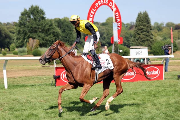 02.08.2026, Duesseldorf, Nordrhein-Westfalen, GER - Soreanga mit Eduardo Pedroza gewinnt den Henkel 168. Preis der Diana. Galopprennbahn Duesseldorf-Grafenberg. (Pferd, Jockey, Soreanga, Pedroza, Sieg, Ziel, Zielankunft) 260802SG992DUESSELDORF.JPG *** August 2, 2026, Düsseldorf, North Rhine-Westphalia, GER: Soreanga, ridden by Eduardo Pedroza, wins the Henkel 168 Preis der Diana at the Düsseldorf-Grafenberg Racetrack. Horse, jockey, Soreanga, Pedroza, Victory, Finish, Finish Line 260802SG992DUESSELDORF JPG