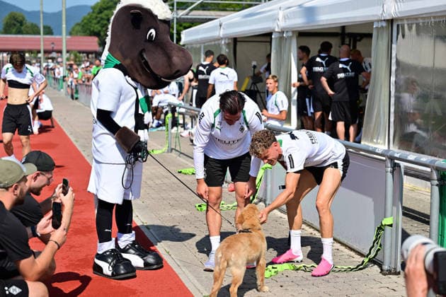 03.08.2026; Rottach-Egern; Fussball, Herren, Saison 2026 2027, Trainingslager Borussia Moenchengladbach v. li. Maskottchen Juenter mit Joe Scally (Gladbach) und Robin Hack (Gladbach) sowie einem jungen Welpen DFL regulations prohibit any use of photographs as image sequences and or quasi-video. Stadion Am Birkenmoos Bayern Deutschland *** August 3, 2026 Rottach Egern Soccer, Men s, 2026–2027 season, training camp: Borussia Mönchengladbach (from left) mascot Juenter with Joe Scally (Gladbach) and Robin Hack (Gladbach), as well as a young puppy. DFL regulations prohibit any use of photographs as image sequences and or quasi-video. Am Birkenmoos Stadium, Bavaria, Germany