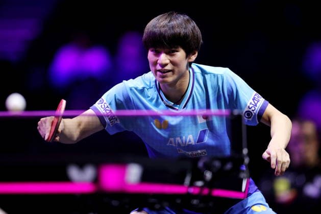 Shunsuke Togami (JPN), AUGUST 4, 2026 - Table tennis, Tischtennis : WTT Champions Yokohama 2026 Men s singles round of 32 at Yokohama BUNTAI, Kanagawa, Japan. Noxthirdxpartyxsales  aflo_340095675 NaokixNishimurax