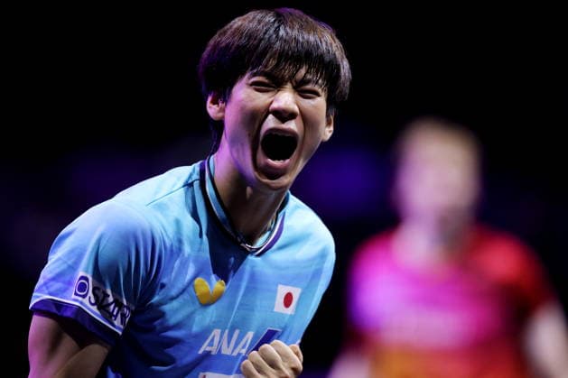 Shunsuke Togami (JPN), AUGUST 4, 2026 - Table tennis, Tischtennis : WTT Champions Yokohama 2026 Men s singles round of 32 at Yokohama BUNTAI, Kanagawa, Japan. Noxthirdxpartyxsales  aflo_340095745 NaokixNishimurax