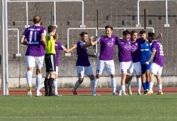 1:0 durch Michael Schäfer (TSV Schwaben Augsburg, Mitte 27);) TSV Schwaben Augsburg - FV Illertissen, Toto-Pokal *** 1–0 by Michael Schäfer, TSV Schwaben Augsburg; 27th minute: TSV Schwaben Augsburg vs. FV Illertissen, Toto Cup
