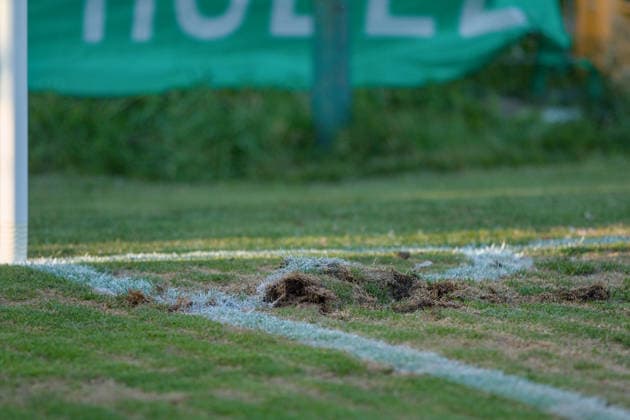 05.08.2026 Fußball Herren 2026 2027 Regionalliga Nordost 3. Spieltag BSG Chemie Leipzig - Hallescher FC Alfred-Kunze-Sportpark Leipzig Rasenprobleme im Alfred-Kunze-Sportpark. Leipzig Sachsen Deutschland *** August 5, 2026 Men s Soccer 2026–2027 Northeast Regional League, Matchday 3: BSG Chemie Leipzig vs. Hallescher FC at Alfred Kunze Sportpark, Leipzig. Turf issues at Alfred Kunze Sportpark, Leipzig, Saxony, Germany